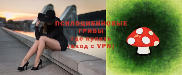 меф Алексин